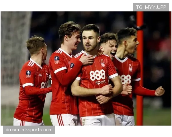 英超森林球迷抗议